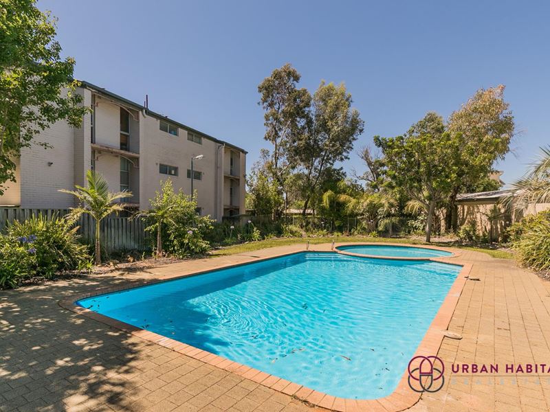 10/2 Pengilly Road, Orelia