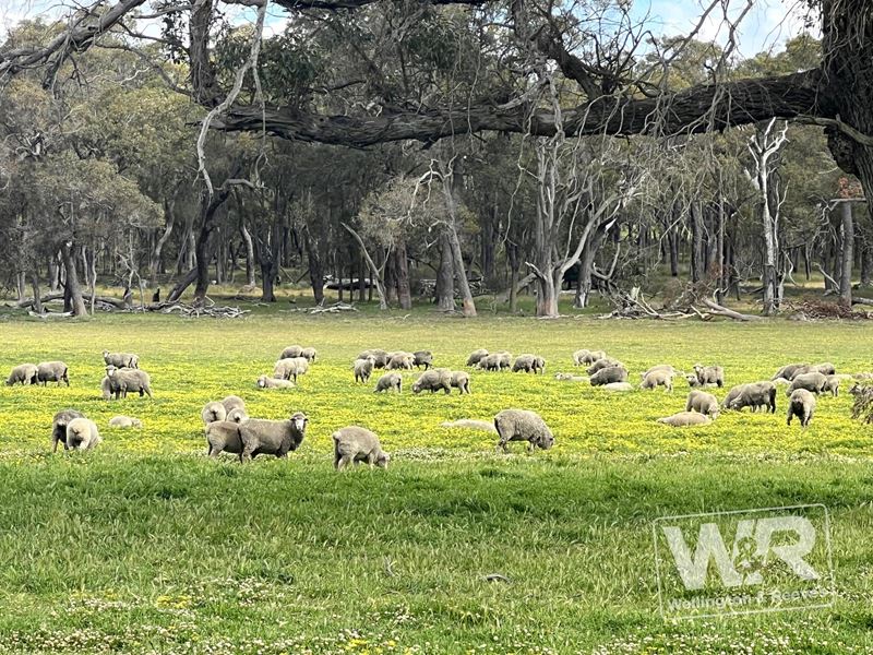 Lots 1 & 1153 Crockerup Road, Mount Barker