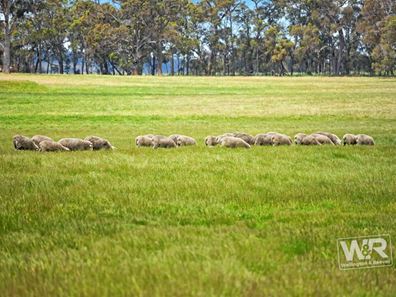 Lots 1 & 1153 Crockerup Road, Mount Barker WA 6324