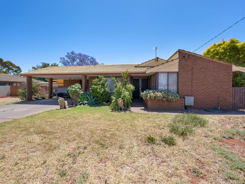 6 Teahan Street, South Kalgoorlie