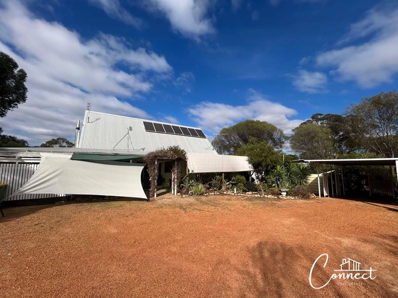 16 Whitfield Street, Mount Hardey
