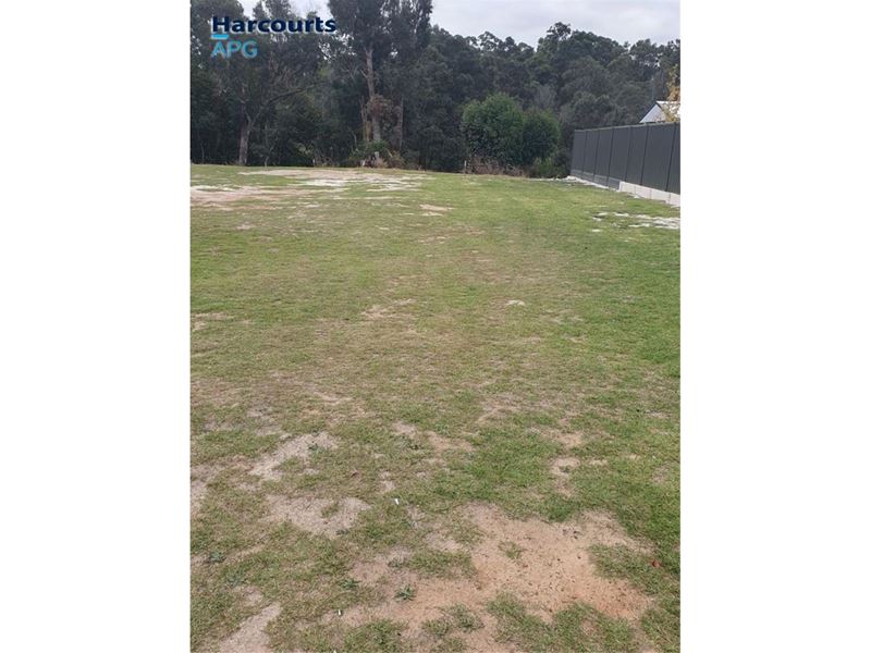 Lot 71 South Western Highway, Donnybrook WA 6239
