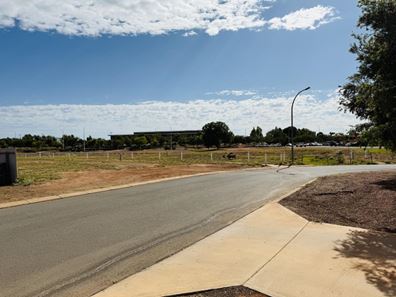 18 Lady Douglas Way, Pegs Creek WA 6714