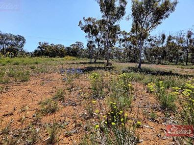 57 & 59 Forrest Street, Popanyinning WA 6309