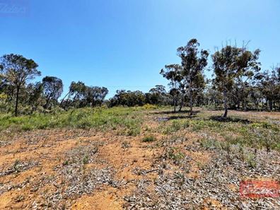 57 & 59 Forrest Street, Popanyinning WA 6309