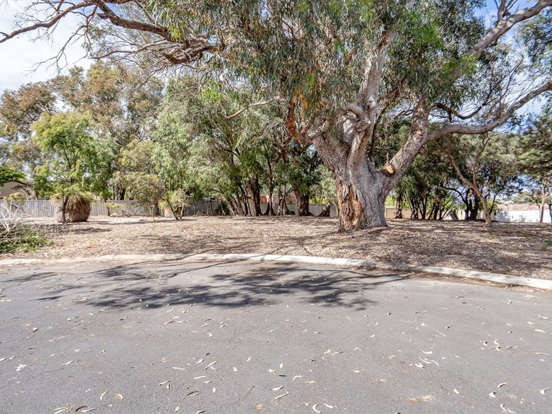 8 Exford Road, Dawesville