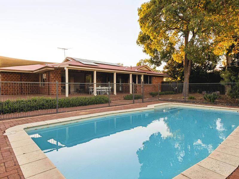 1 Gobba Court, Bayswater WA 6053