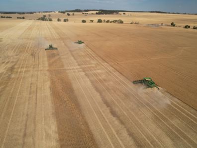 . 'Wells', Quairading WA 6383