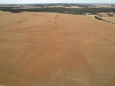 . 'Wells', Quairading WA 6383