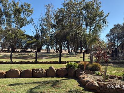 36 Quigley Street, Narrogin WA 6312