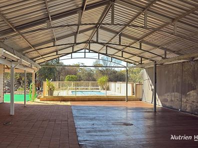 36 Quigley Street, Narrogin WA 6312