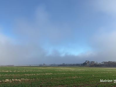 338 Jitarning Road South, Jitarning WA 6365