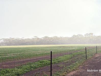 338 Jitarning Road South, Jitarning WA 6365