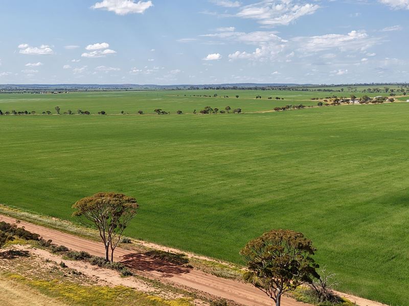 1759 Nungarin-Wyalkatchem Road, South Kununoppin