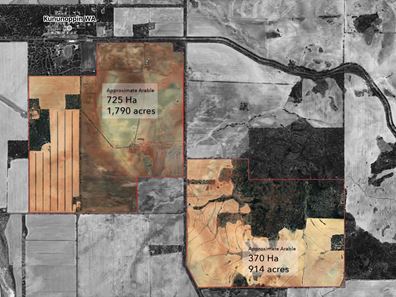 1759 Nungarin-Wyalkatchem Road, South Kununoppin WA 6489