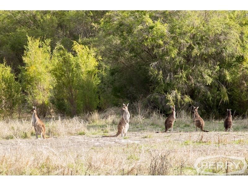 Lot 15 Kangaroo Loop, Birchmont