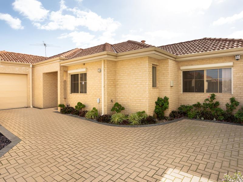 53C Harrison Street, Balcatta WA 6021