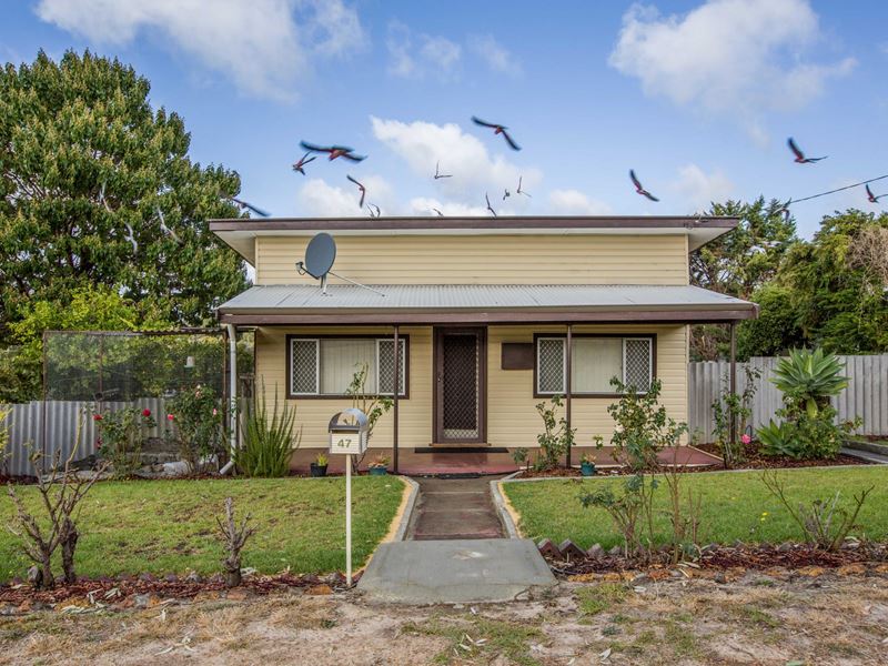 47 Clifton Street, Collie