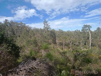 Lot 804 Brook Lookout, North Dandalup WA 6207