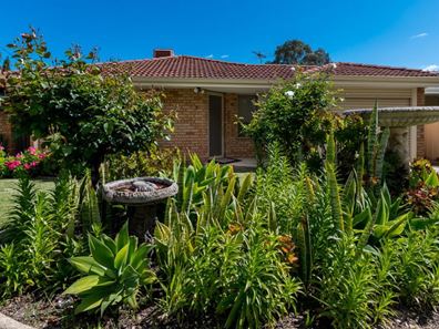 3 Ravenswood Court, Nollamara WA 6061