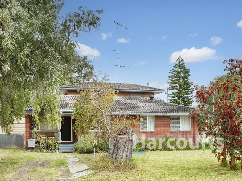 41 Moylan Way, Geographe