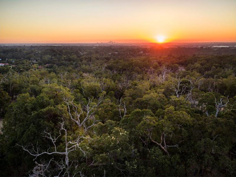 50 Edmonton Parade, Bushmead
