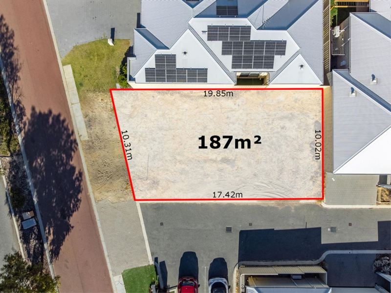 98 Clarkson Avenue, Tapping