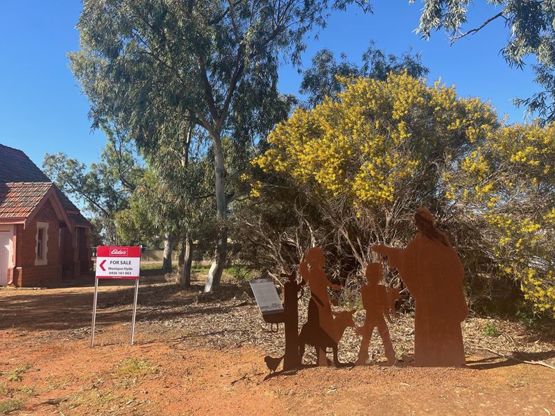 60 Fowler  Street, Perenjori WA 6620