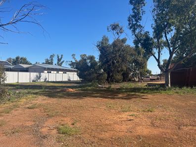 60 Fowler  Street, Perenjori WA 6620