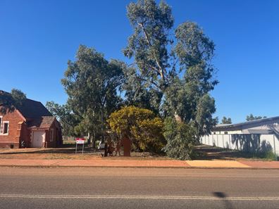 60 Fowler  Street, Perenjori WA 6620