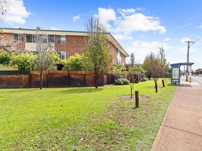 16A/49 Herdsman Parade, Wembley WA 6014