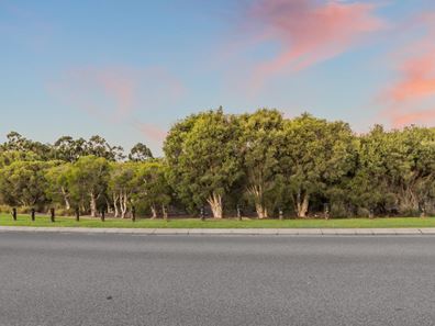 39 Welcome Meander, Harrisdale WA 6112