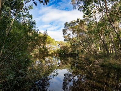 88 Frederick Street, Gledhow WA 6330