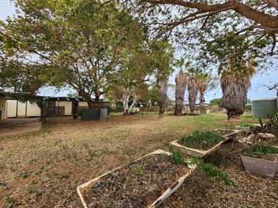 60 Cornish Street, Carnarvon WA 6701