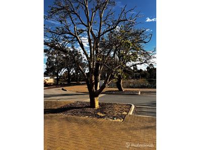 4 Gallant Turn, Byford WA 6122