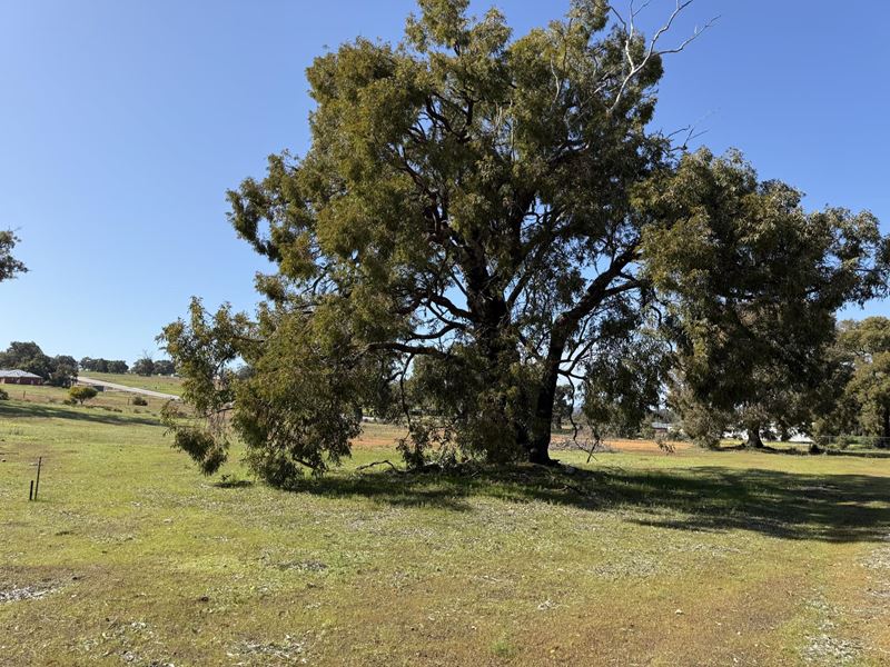 53 Sunburst Rise, Chittering