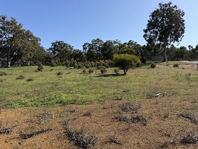 53 Sunburst Rise, Chittering WA 6084