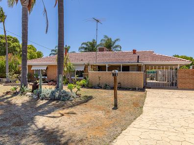 3 Regelia Place, Pinjarra WA 6208