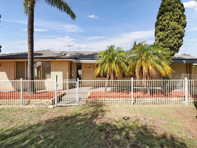 64 Discovery Drive, Thornlie