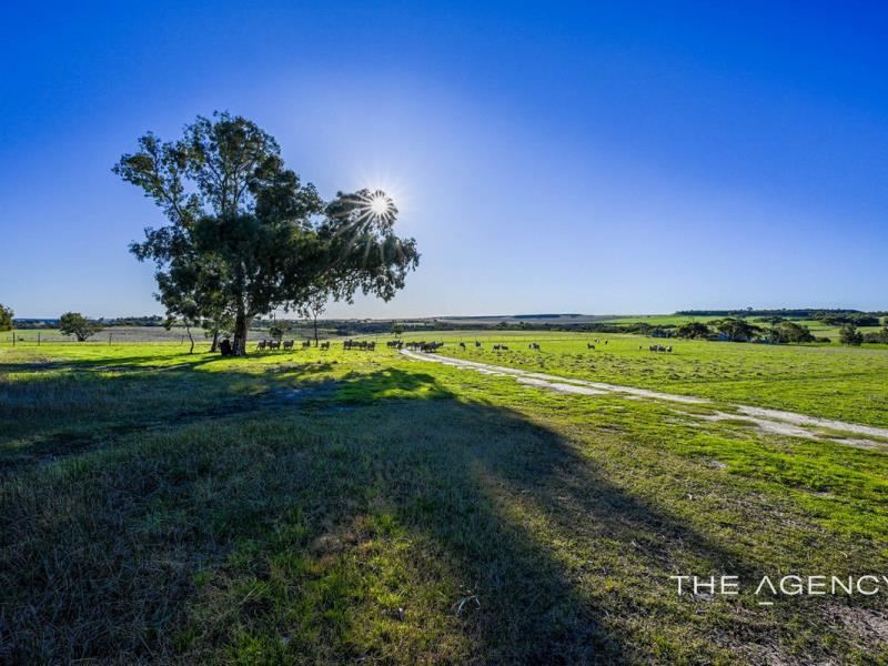690 Geraldton-Mount Magnet Road, Bringo WA 6532