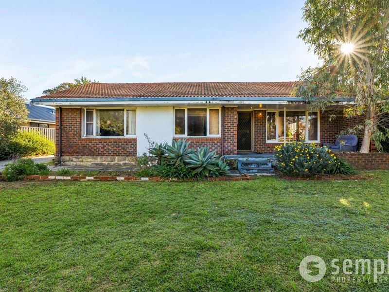 24 Bucat Street, Hamilton Hill WA 6163