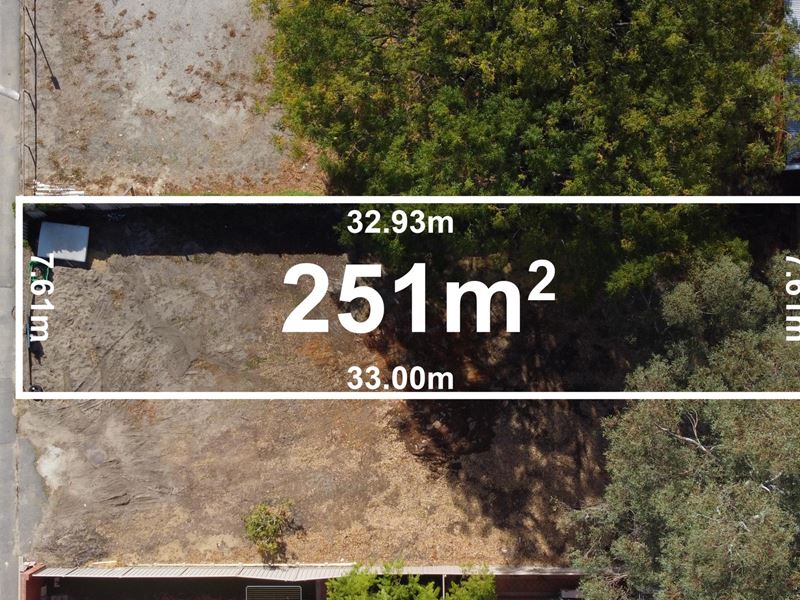 17 Sholl Lane, North Perth WA 6006