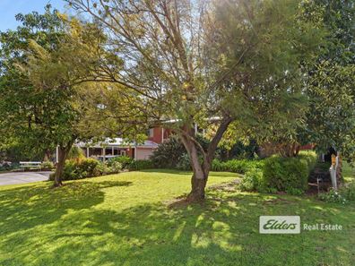 10 Hillside Road, Harvey WA 6220