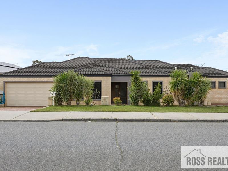 1 Churt Place, Morley WA 6062