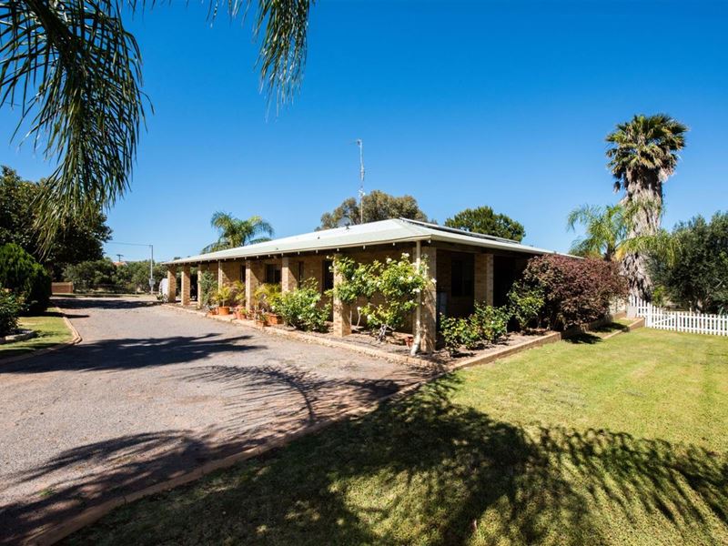 11 Tulloch, Dongara