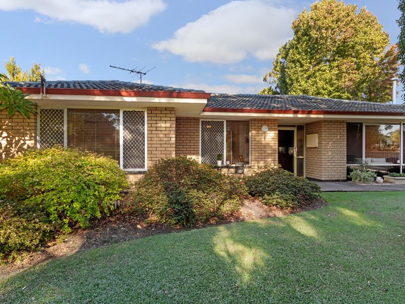 7 Adelina Street, Wilson