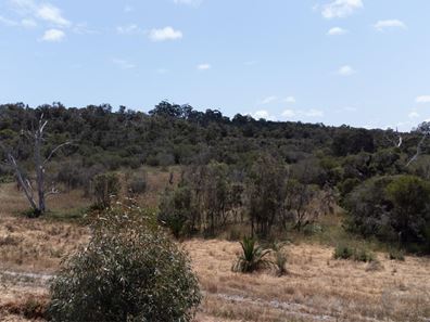 Lot 361, 64 Wanstead Vista, Bertram WA 6167