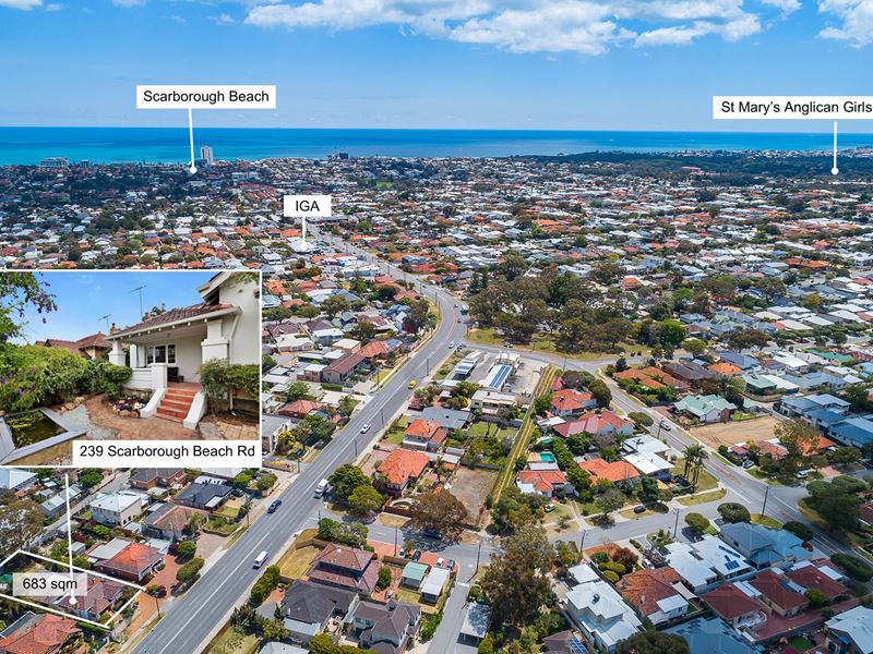 239 Scarborough Beach Road, Doubleview