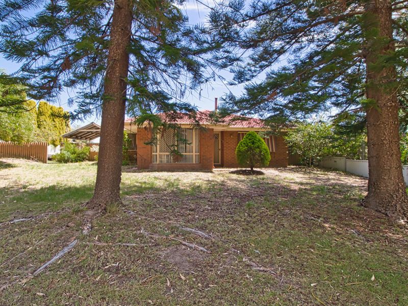 23 Jindarra Close, Cooloongup