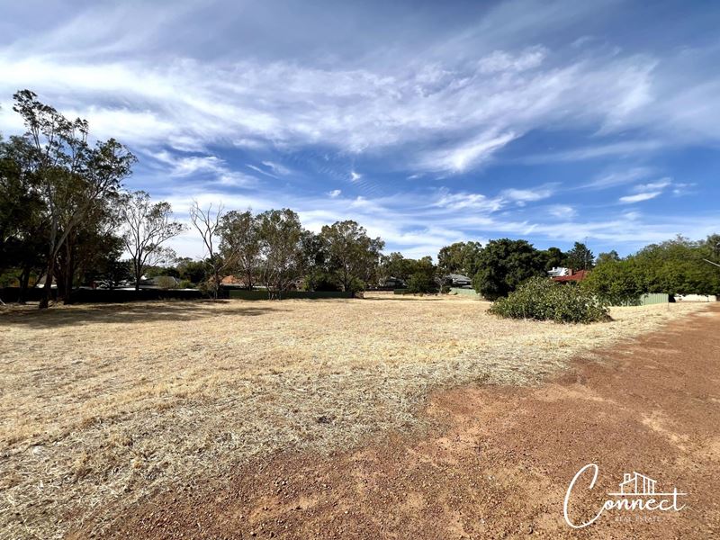 74 - 76 Newcastle Road, Northam
